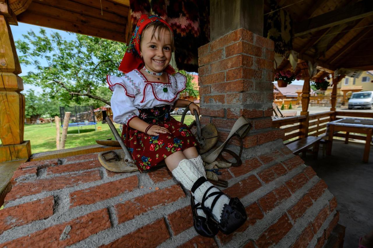 Pensiune Agroturistica "Casa Teodora" Budeşti Exterior foto
