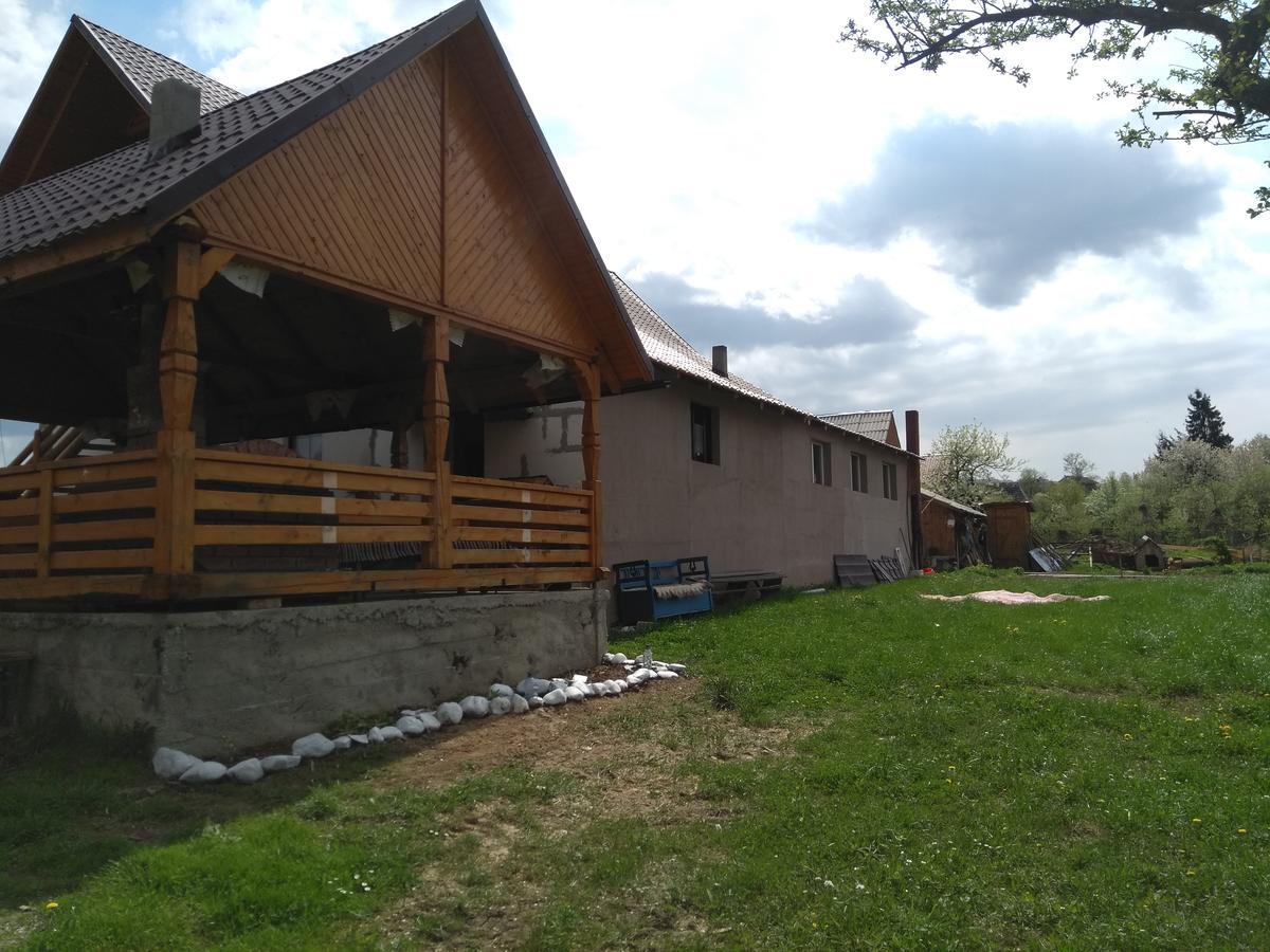 Pensiune Agroturistica "Casa Teodora" Budeşti Exterior foto
